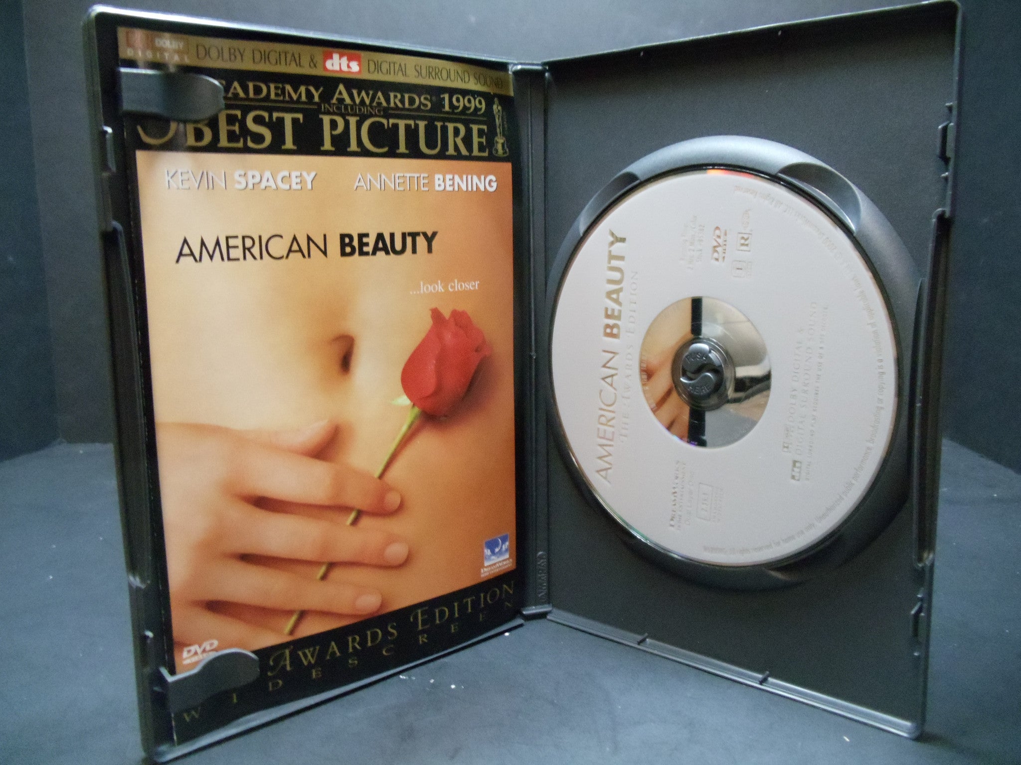 American Beauty (1999) DVD - Limited Edition Awards Widescreen - Romantic Drama Film for Movie Night & Home Theater Collection