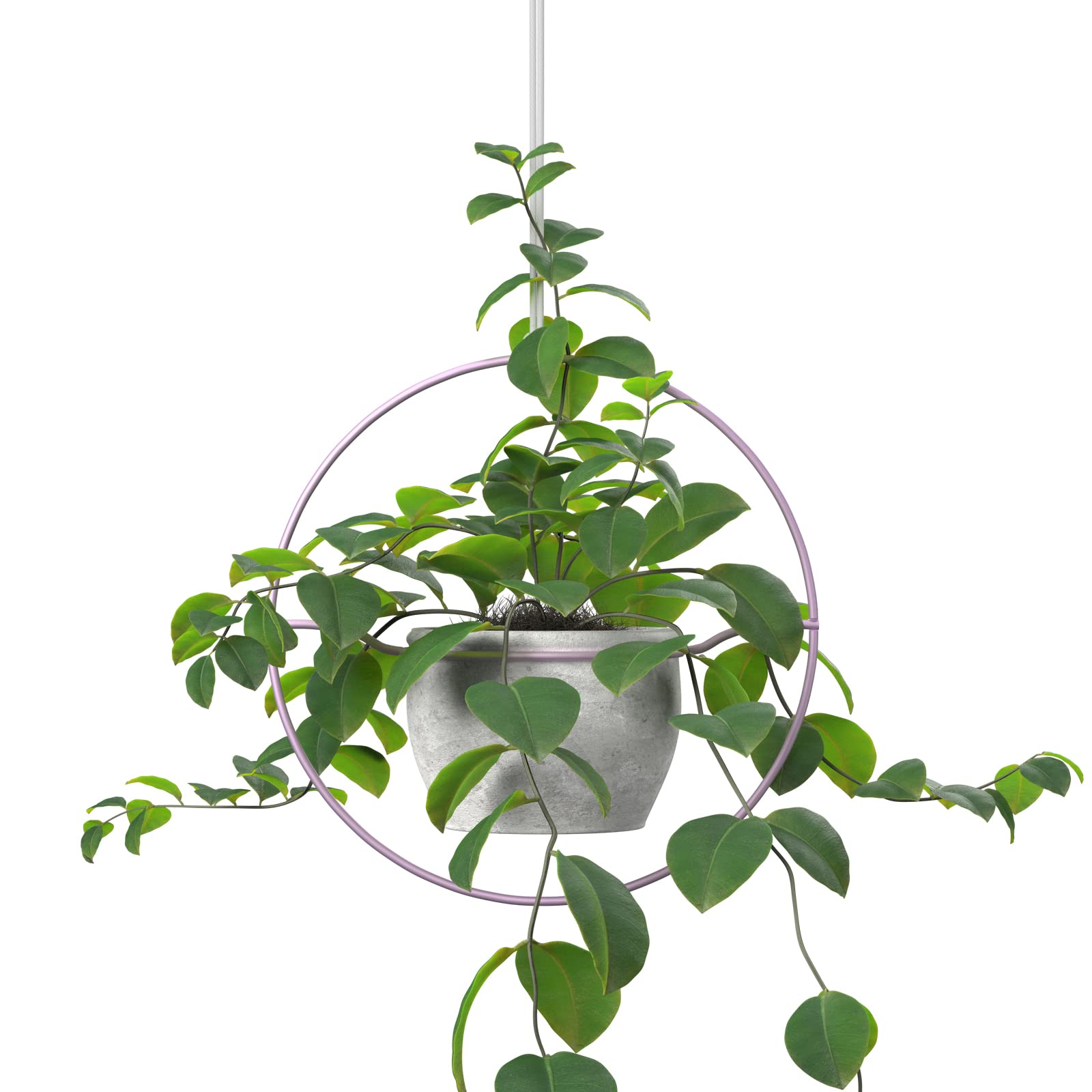 HOBBYMATE Modern Metal Iron Hanging Planters - Indoor Outdoor Decorative Plant Hanger for Home Garden, Balcony, and Patio | Houseplant Holder Without Pot Included | Perfect for Living Room, Bedroom, and Office Decor
