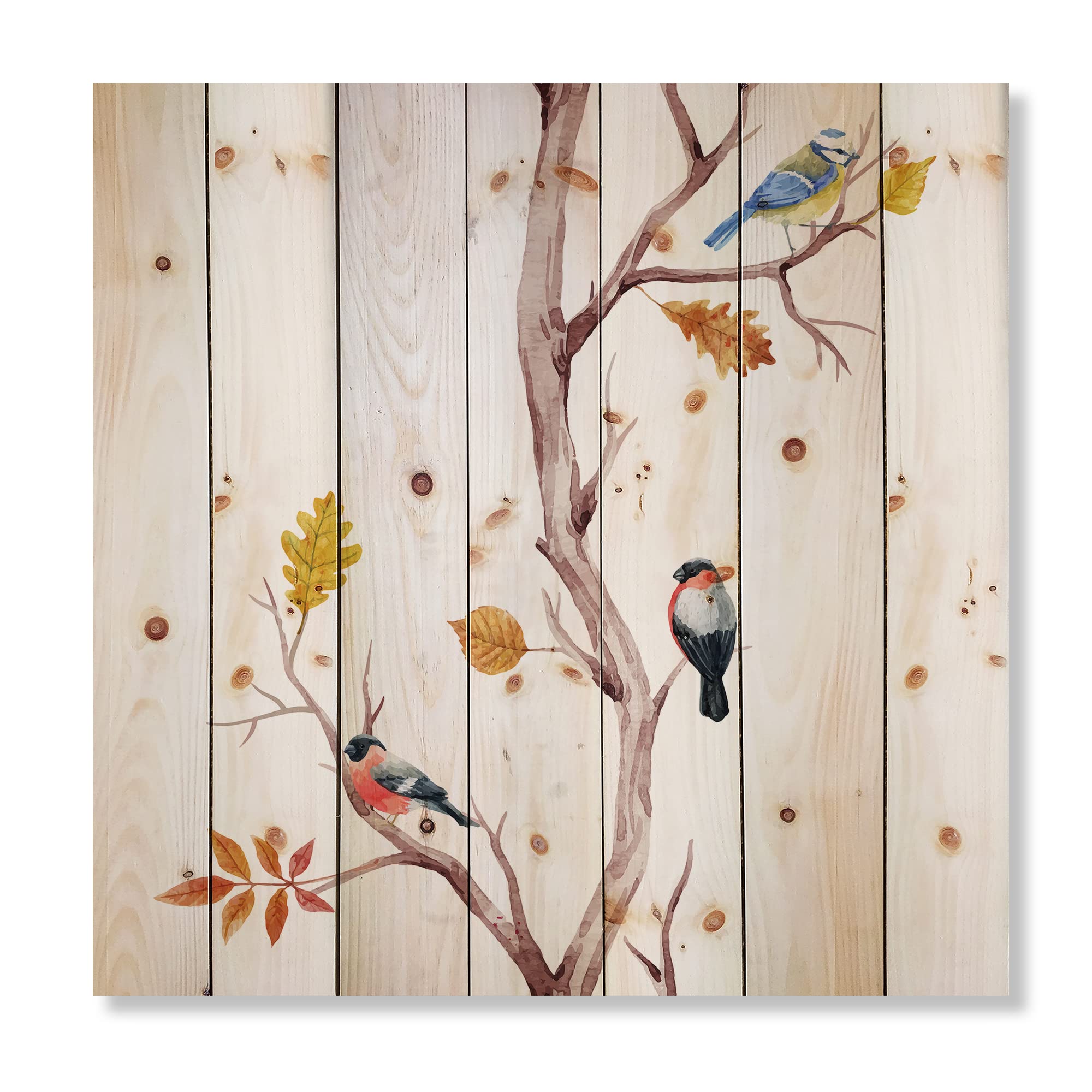 DesignQ Traditional Wood Wall Decor - Little Birds on Tree Branches IV, White Wood Wall Art, Large Animal Wood Panels Printed on Natural Pine - Perfect for Living Room, Bedroom & Office Decor