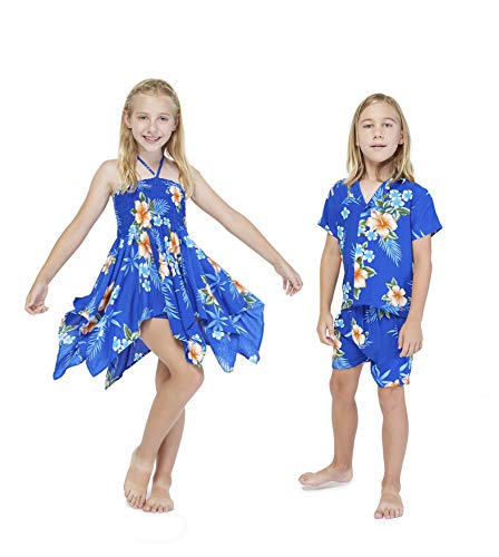 Hibiscus Blue