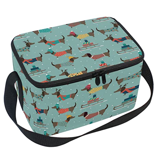 Dachshund