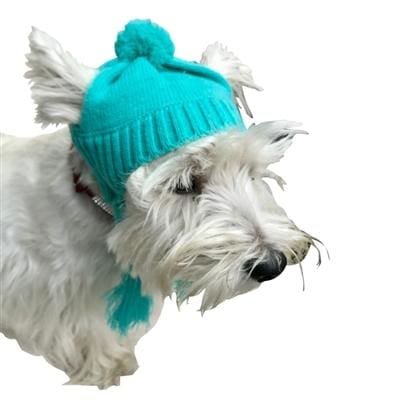 Scottish Cable Knit Dog Hat for Small Medium Large Dogs - Warm Turquoise Winter Pet Accessory for Cold Weather Outdoors Walks and Photos