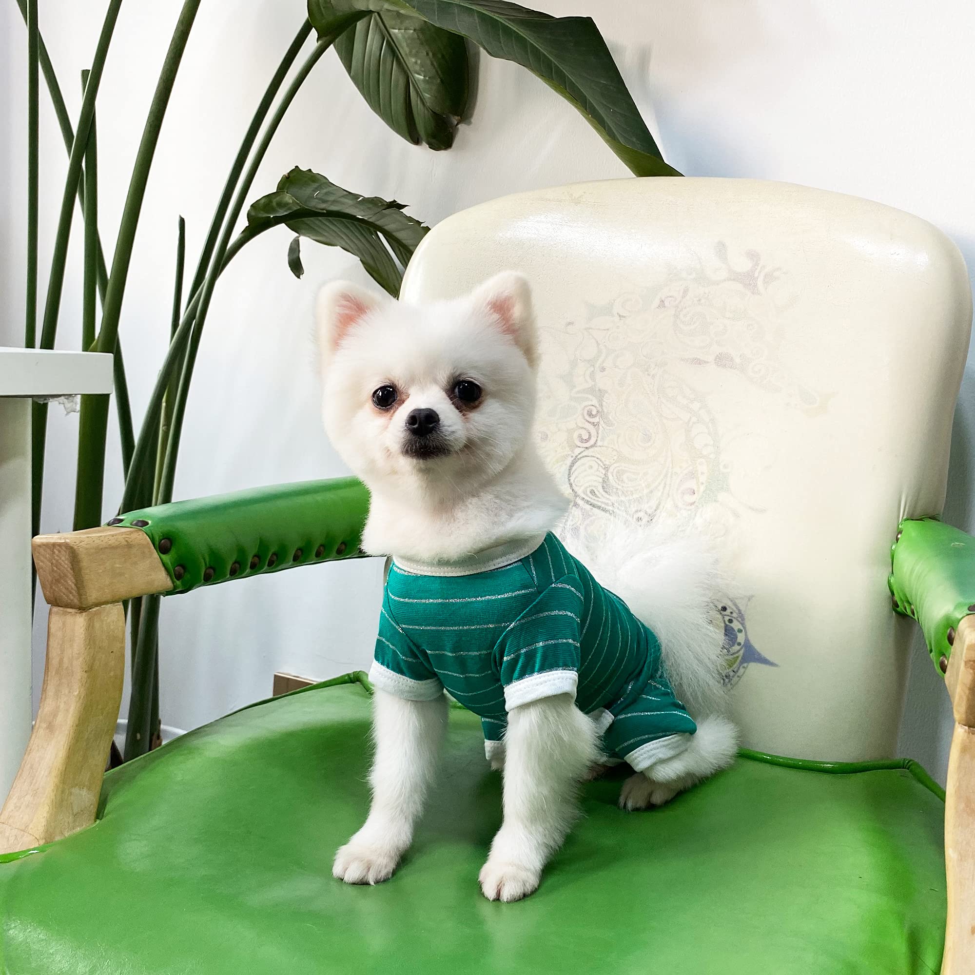TONY HOBY Dog Pajamas - Summer Dog Shirt & 4-Legged Jumpsuit for Small Medium Dogs | Breathable Recovery Suit for Post-Surgery Care (Green, Boy, XS) | Perfect for Vet Visits, Home Comfort & Outdoor Adventures