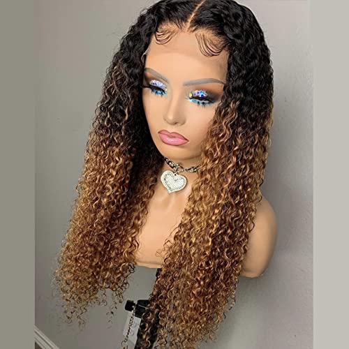 Ombre Kinky Curly 13x4 Lace Front Wig for Black Women - 150% Density Brazilian Human Hair Wig in 1B30 Brown with Baby Hair | 10 Inch V-Part Lace Wig for Daily Wear, Parties & Special Occasions