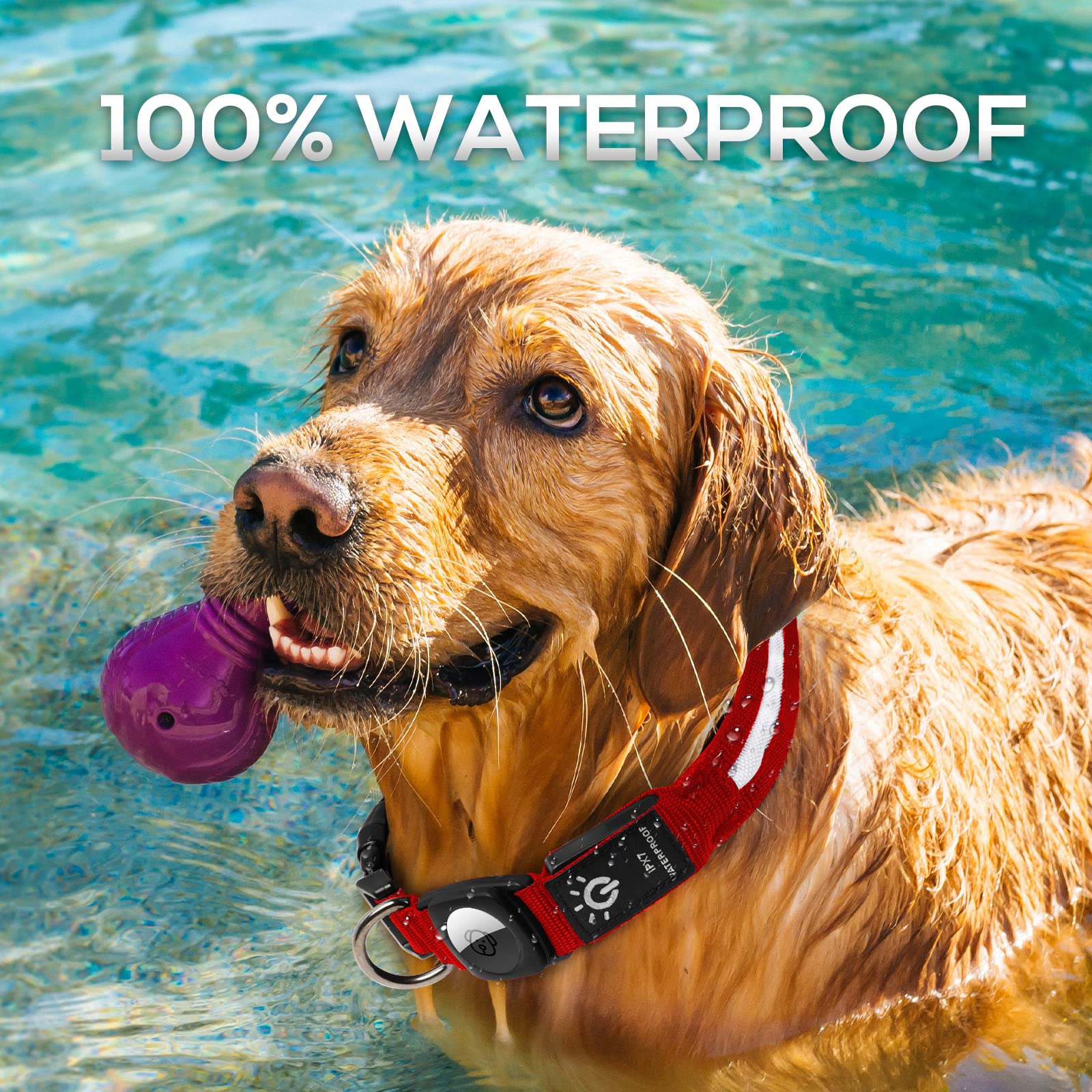 LED Air Tag Dog Collar with Light - IPX7 Waterproof & Rechargeable, Apple AirTag Holder Case for Small Medium Large Dogs - Perfect for Night Walks, Hiking & Pet Safety Tracking