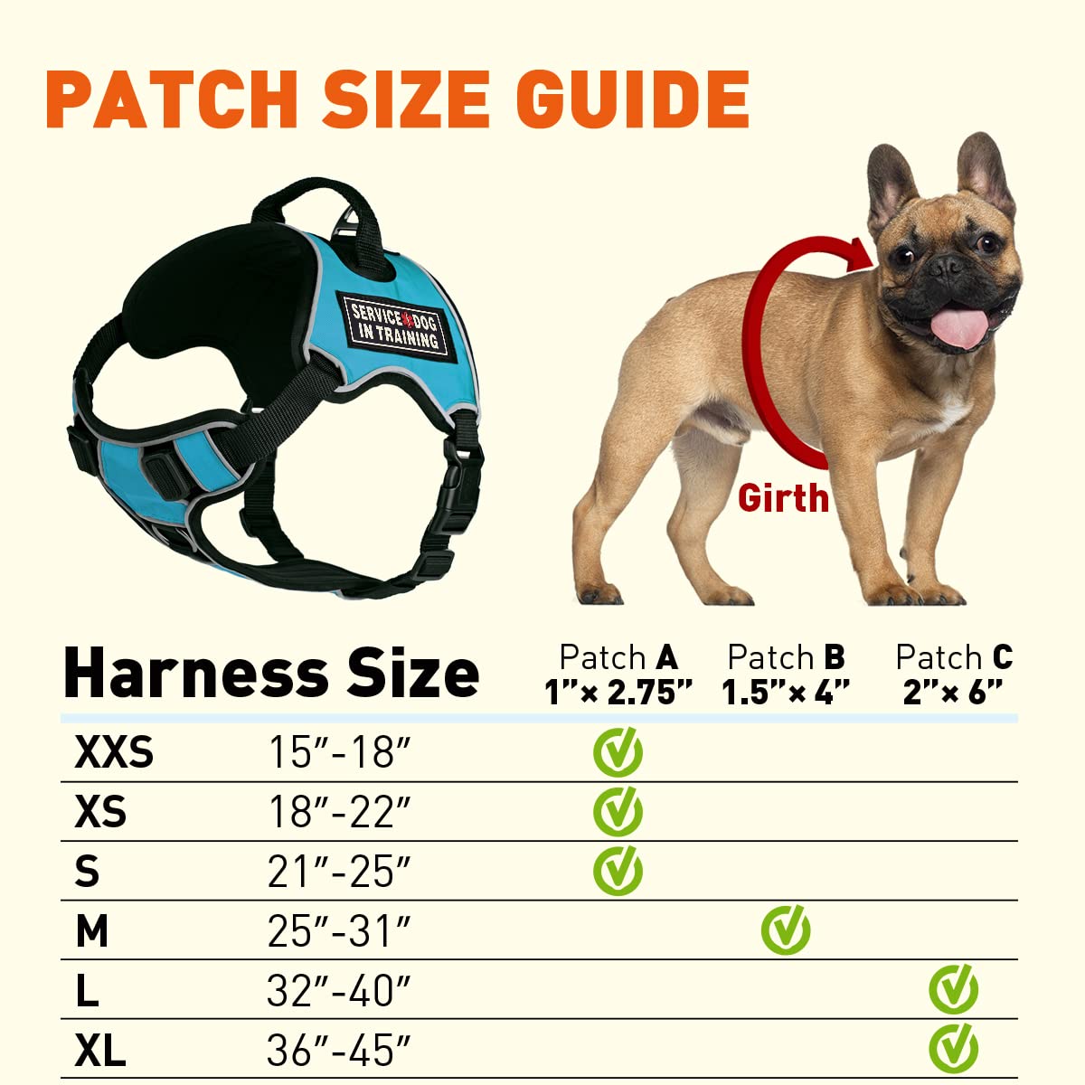 Dogline Quest No-Pull Dog Harness - Adjustable Reflective Vest with Quick Release Buckles & Handle (36-45 inches) - 3D Rubber Service Dog Training Patches - Teal Color - Perfect for Walking, Training & Outdoor Adventures
