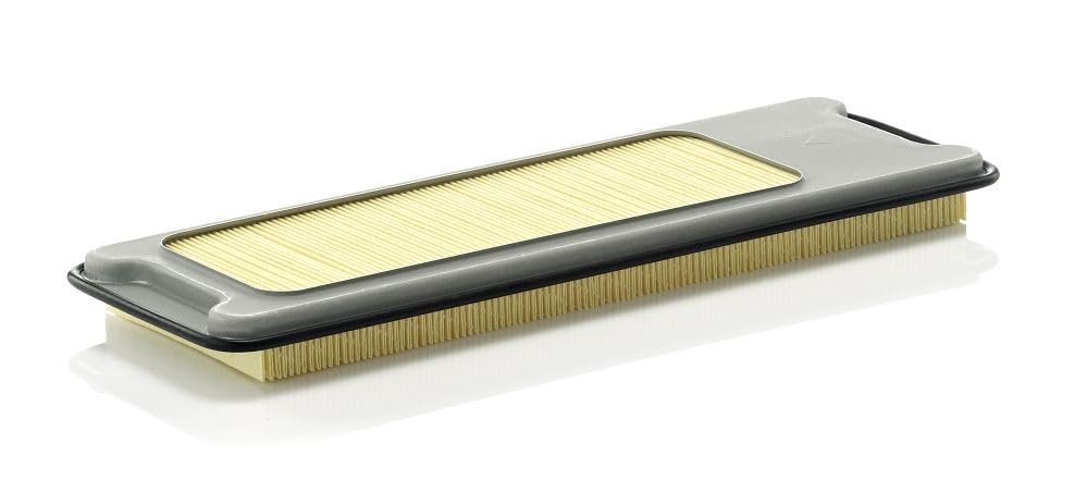 Mann Filter C 4373/2 Air Filter Replacement for Cars & Trucks | High-Performance Engine Protection | Perfect for Off-Road & Daily Driving