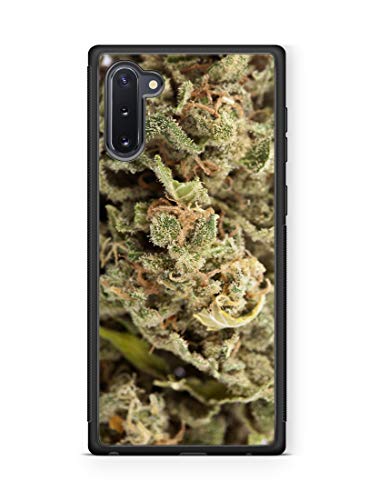 Note 10Plus+
