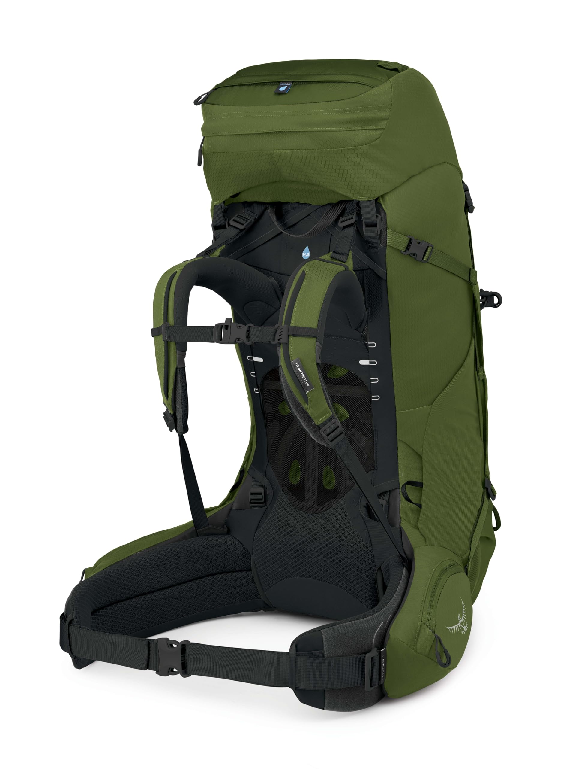 Osprey Aether 65L Men's Hiking Backpack - Lightweight Travel & Trekking Pack for Outdoor Adventures, Garlic Mustard Green, S/M Size with Extended Fit | Perfect for Camping, Backpacking & Multi-Day Trips