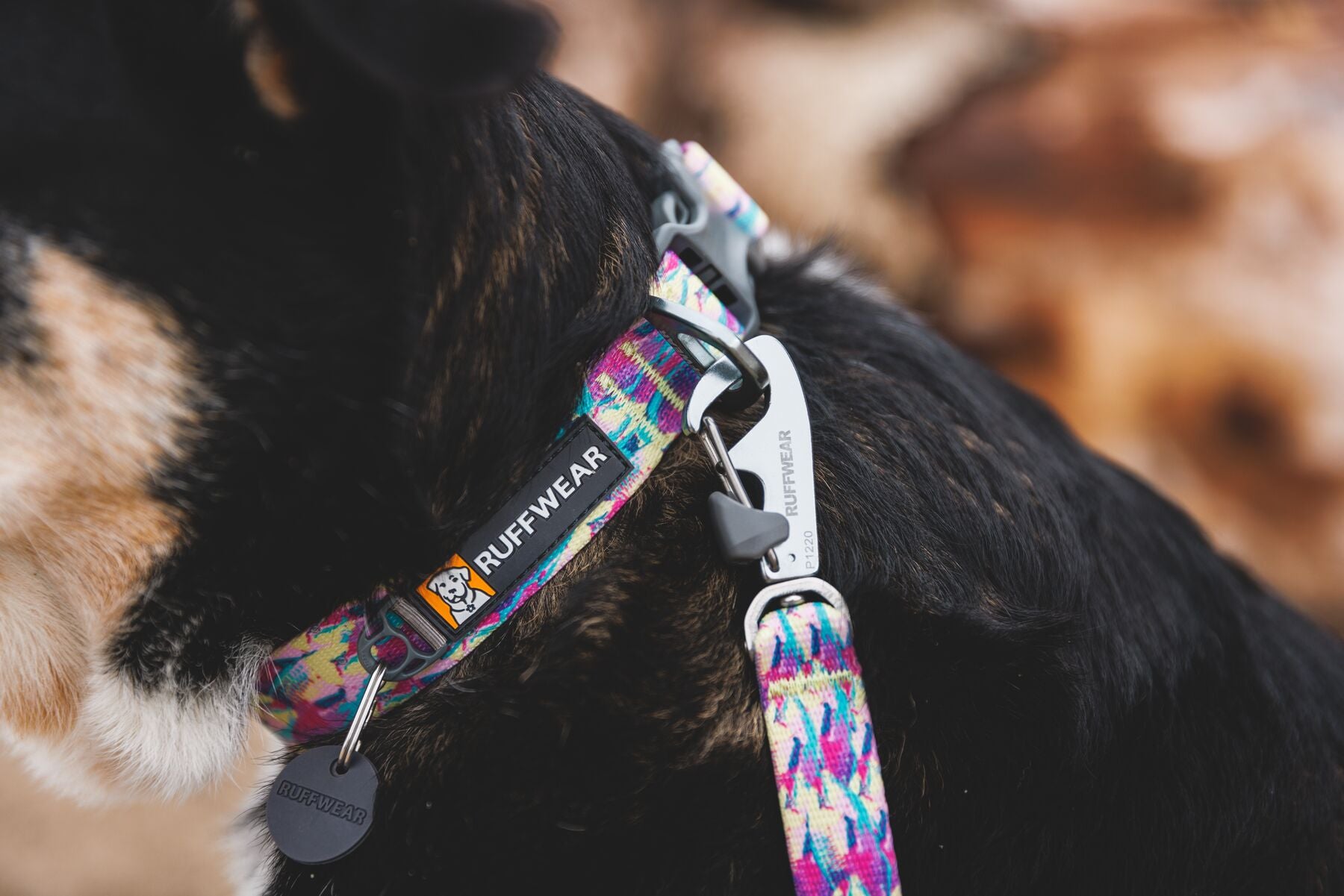 Ruffwear Front Range® Dog Harness - Deep Jungle Pattern | Durable & Adjustable for Hiking, Running & Outdoor Adventures
