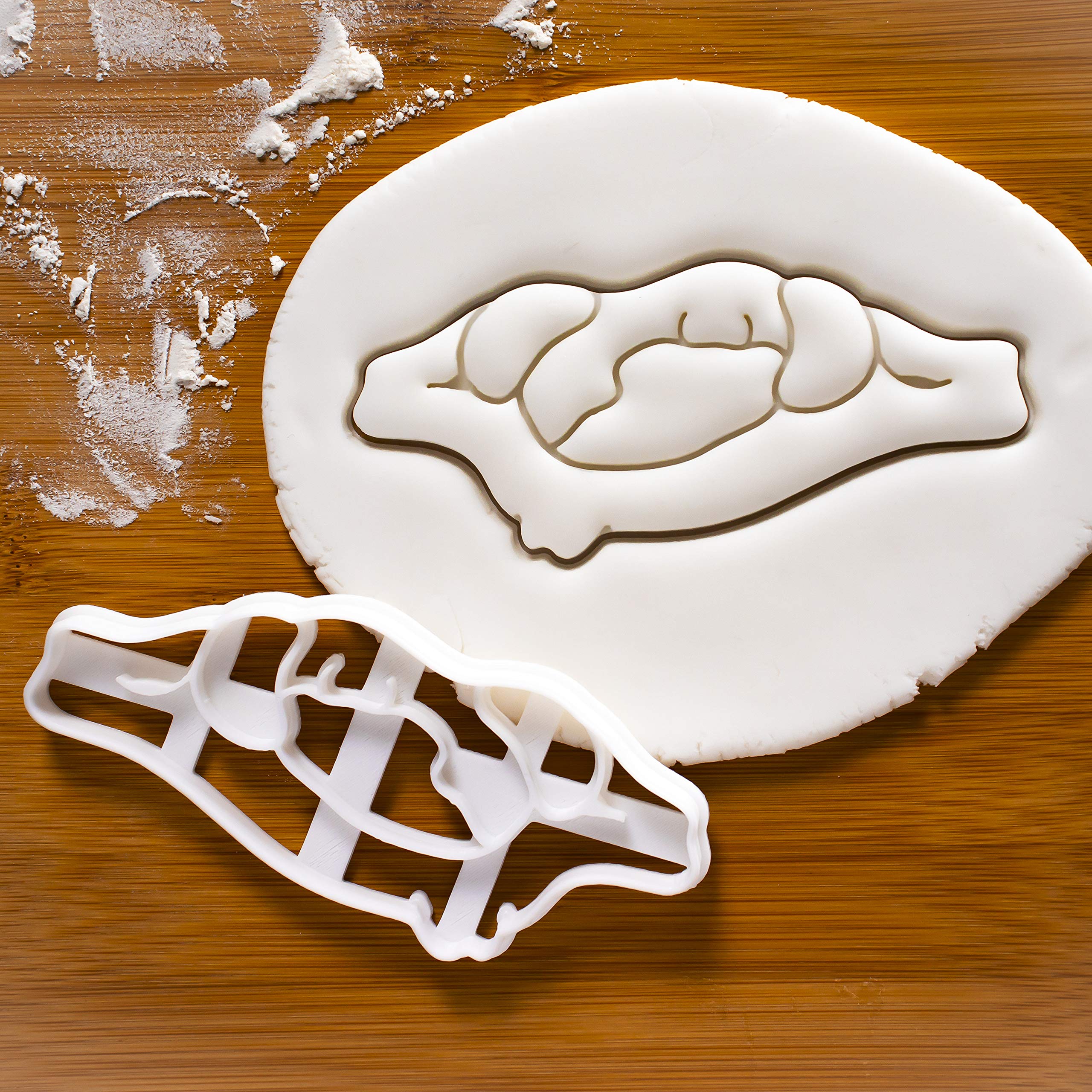 2-Piece Vertebra Cookie Cutters Set - Atlas & Axis Designs for Baking | Perfect for Halloween, Science-Themed Parties & Unique Gifts