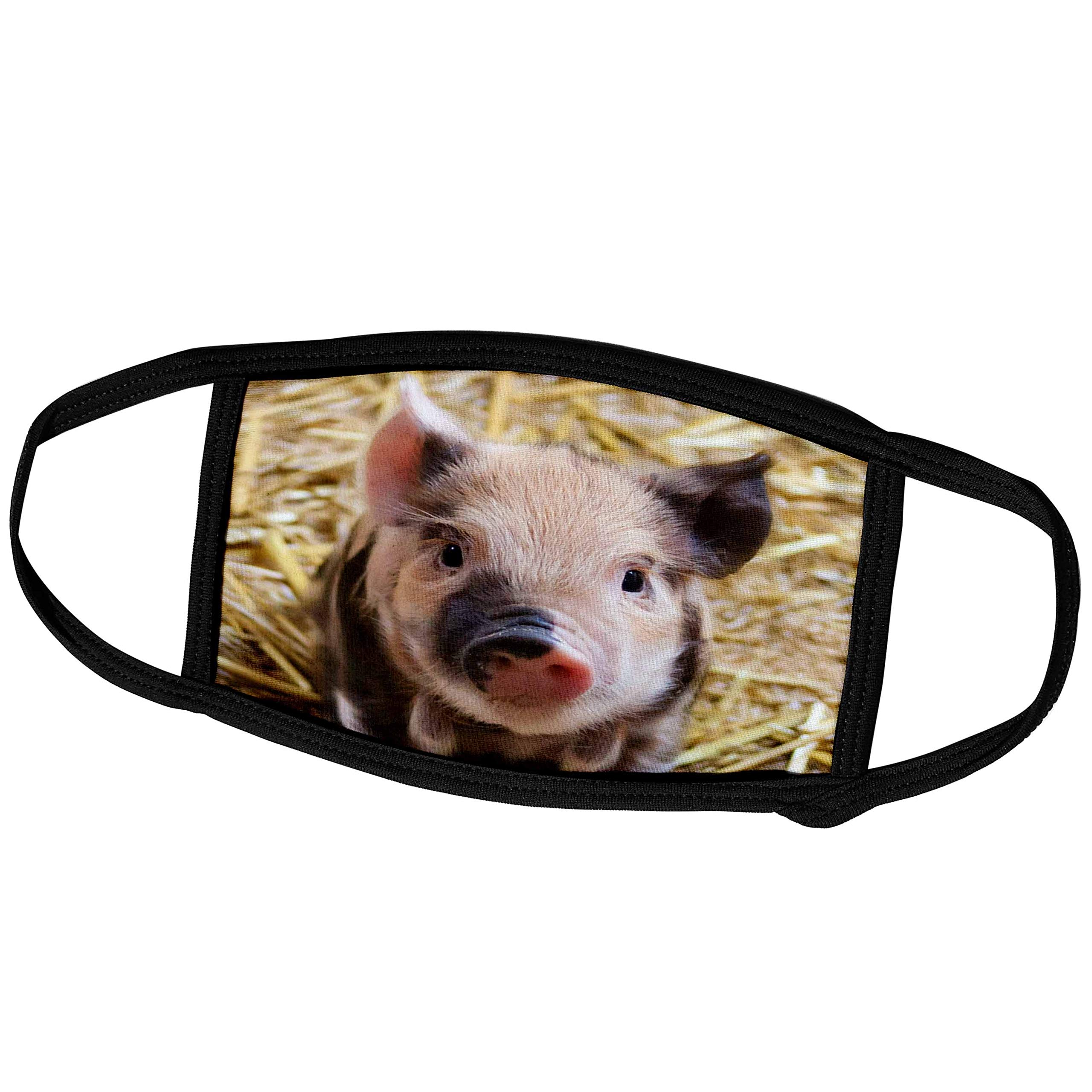 3D Rose Pig Face Mask - Farm Animal Design for Daily Use