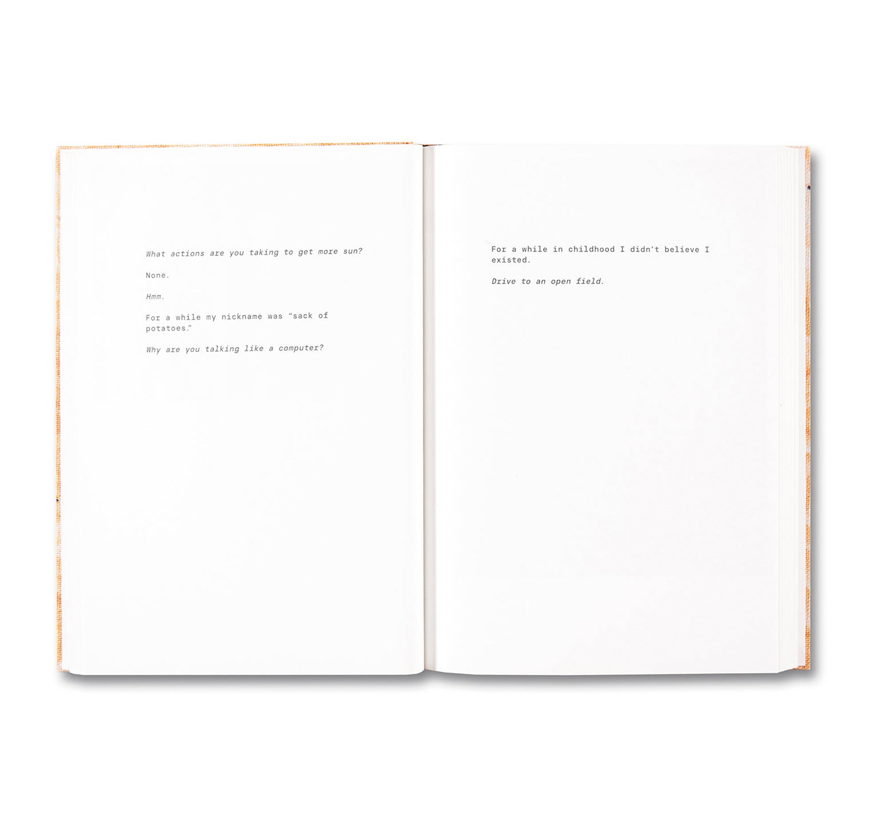 ANOTHER ONLINE PERVERT by Brea Souders - Contemporary Art Photography Book for Collectors - Perfect for Modern Art Lovers and Photography Enthusiasts