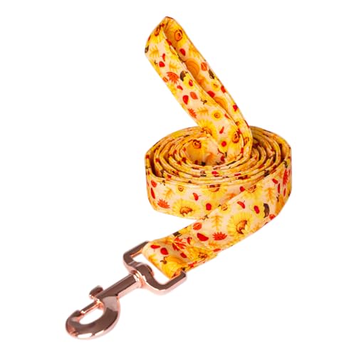 Sunflower Leash