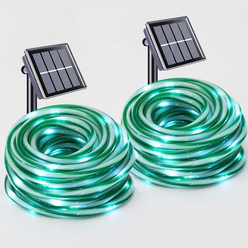White Lights in Green&White Candy Cane Tube