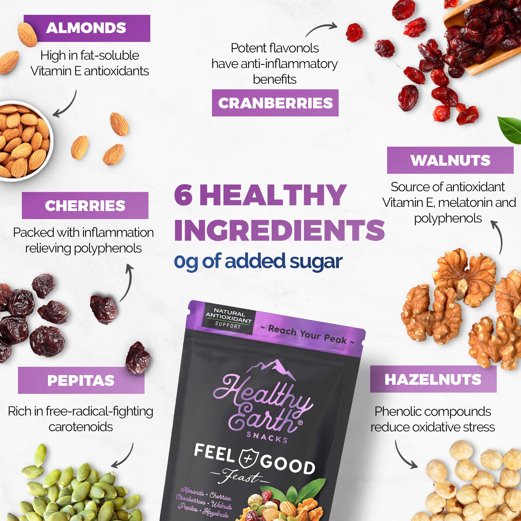 Premium Unsalted Mixed Nuts & Trail Mix - Peanut Free, Sugar Free, Gluten Free Snacks | High Protein, High Fiber, No Preservatives | Natural Antioxidant Rich Snack for Hiking, Office & Healthy Lifestyle