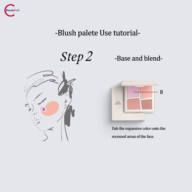 INSBAHA Primary Exploration Blush Palette - 6 Color Matte & Shimmer Makeup Set for Contouring, Highlighting & Everyday Wear | Perfect for Professional Makeup Artists & Beginners