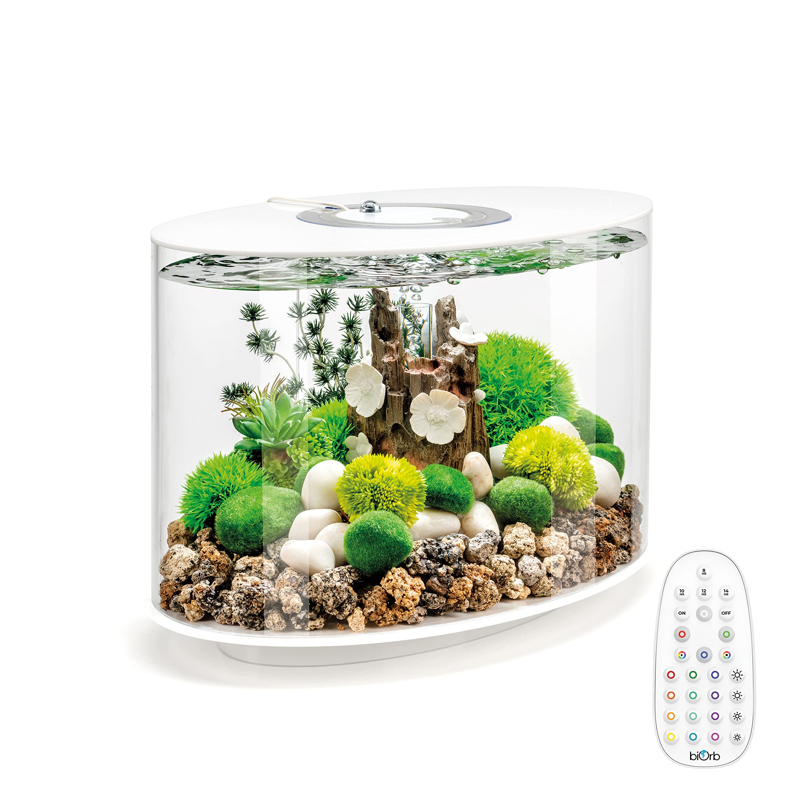 biOrb Loop 15 Acrylic 4-Gallon Aquarium with Remote-Controlled Multi-Color LED Lights - Modern Compact Fish Tank for Tabletop, Desktop, Office or Home Decor - White Trim Design for Stylish Display
