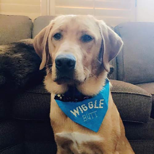 Funny Embroidered Personalized Dog Bandana - Wiggle Butt Bandana, Over-the-Collar Pet Accessory for Small Medium Large Dogs - Perfect for Walks, Parties & Photo Shoots