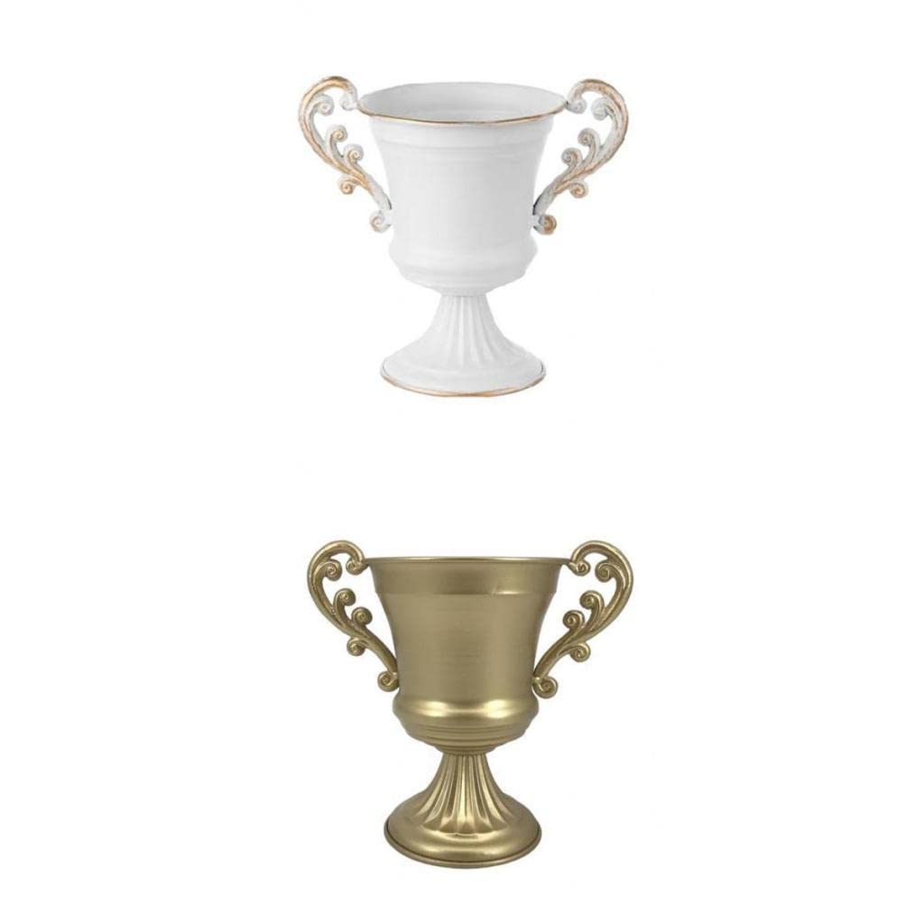Baoblaze 2 Pack Decorative Metal Flower Vase Planter Pots - Elegant Home & Tabletop Decor for Living Room, Dining Table, Wedding Centerpiece, Office Desk