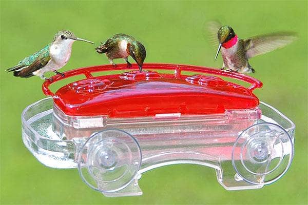 8 oz Jewel Box Window Hummingbird Feeder - Clear Glass Bird Feeder with Suction Cups for Outdoor Garden & Patio Decor
