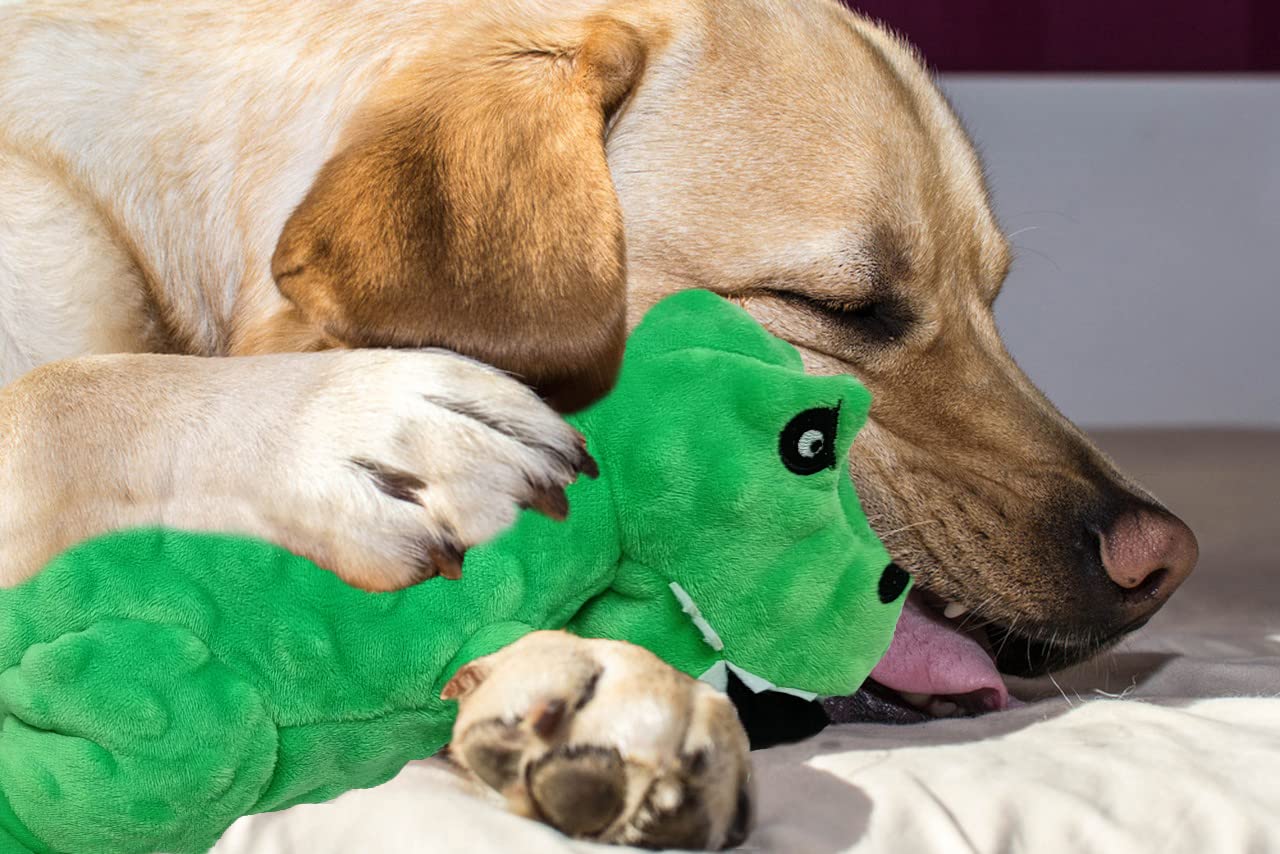 Durable Squeaky Dinosaur Plush Dog Toy with Crinkle Paper - Chew-Proof Stuffed Animal for Small, Medium & Large Dogs - Perfect for Playtime, Training & Teething Relief