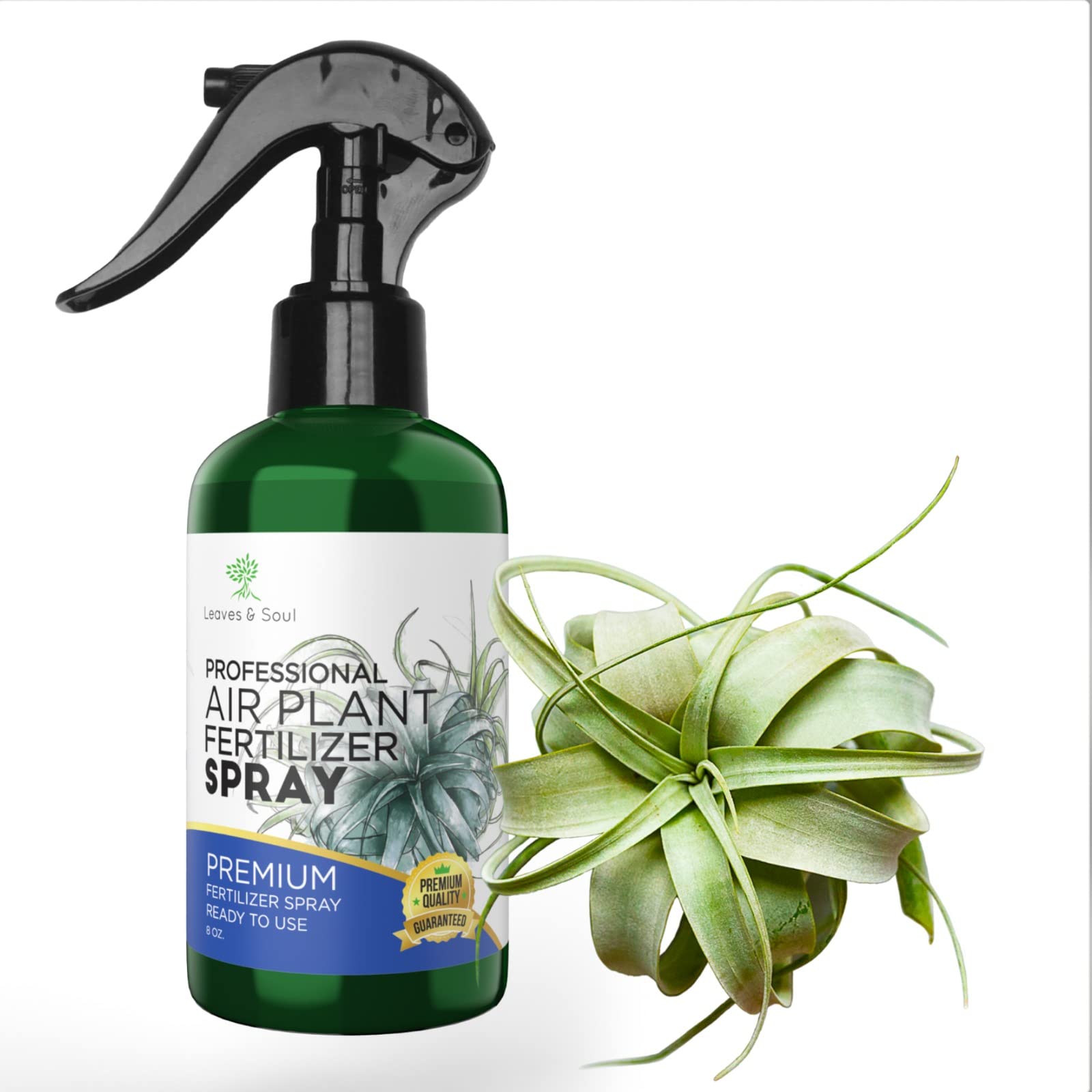 Premium Air Plant Fertilizer Spray - Pre-Mixed Weekly Use Formula | Gentle Nutrient Blend for Tillandsia & Air Plants | 8 oz Bottle | Perfect for Terrariums, Office Decor & Indoor Gardening