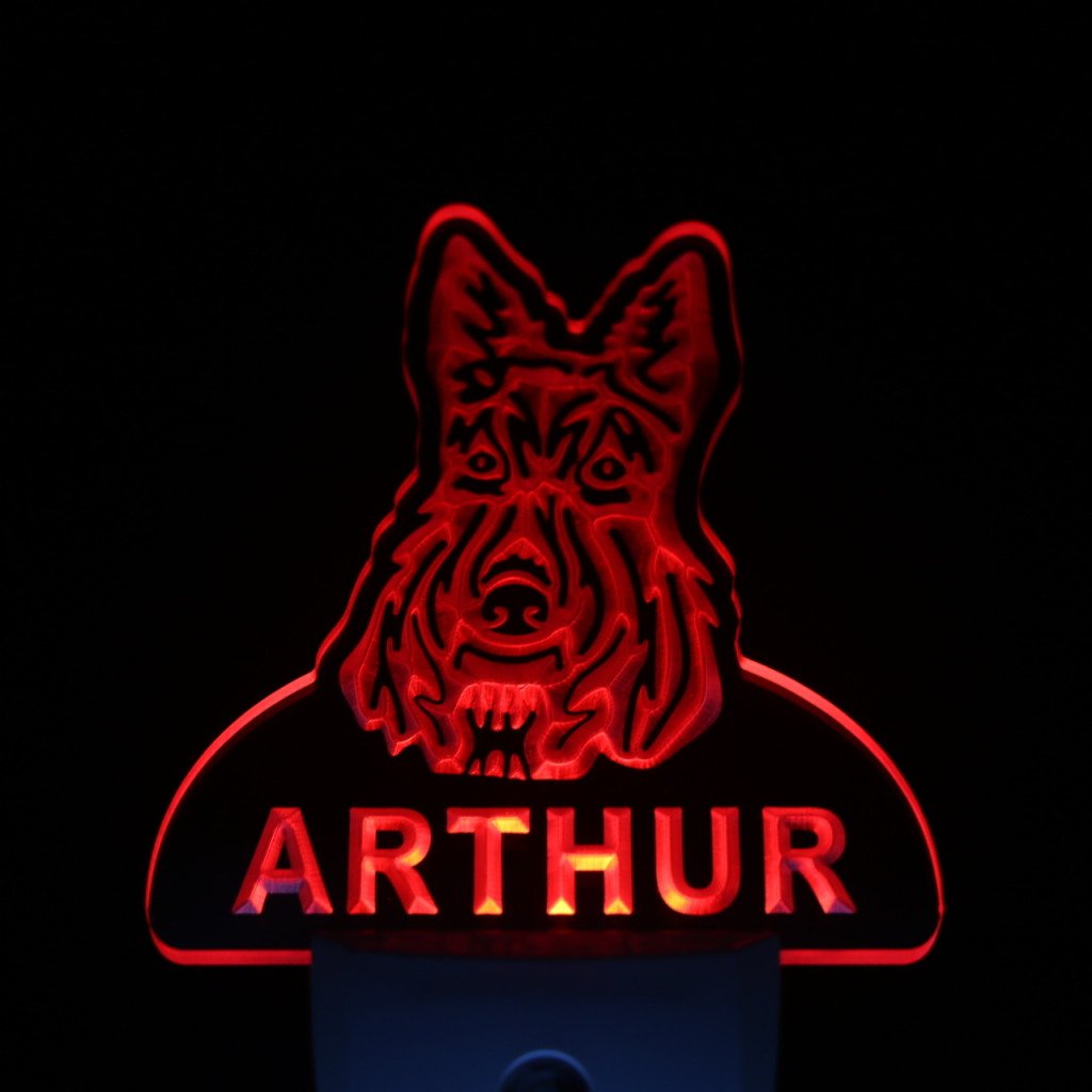 Personalized Scottish Terrier Night Light with Name - Day/Night Sensor LED Sign for Bedroom, Nursery & Home Decor | WS1088-TM
