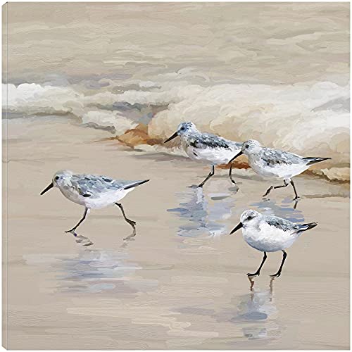 Sandpiper Beach I Amber