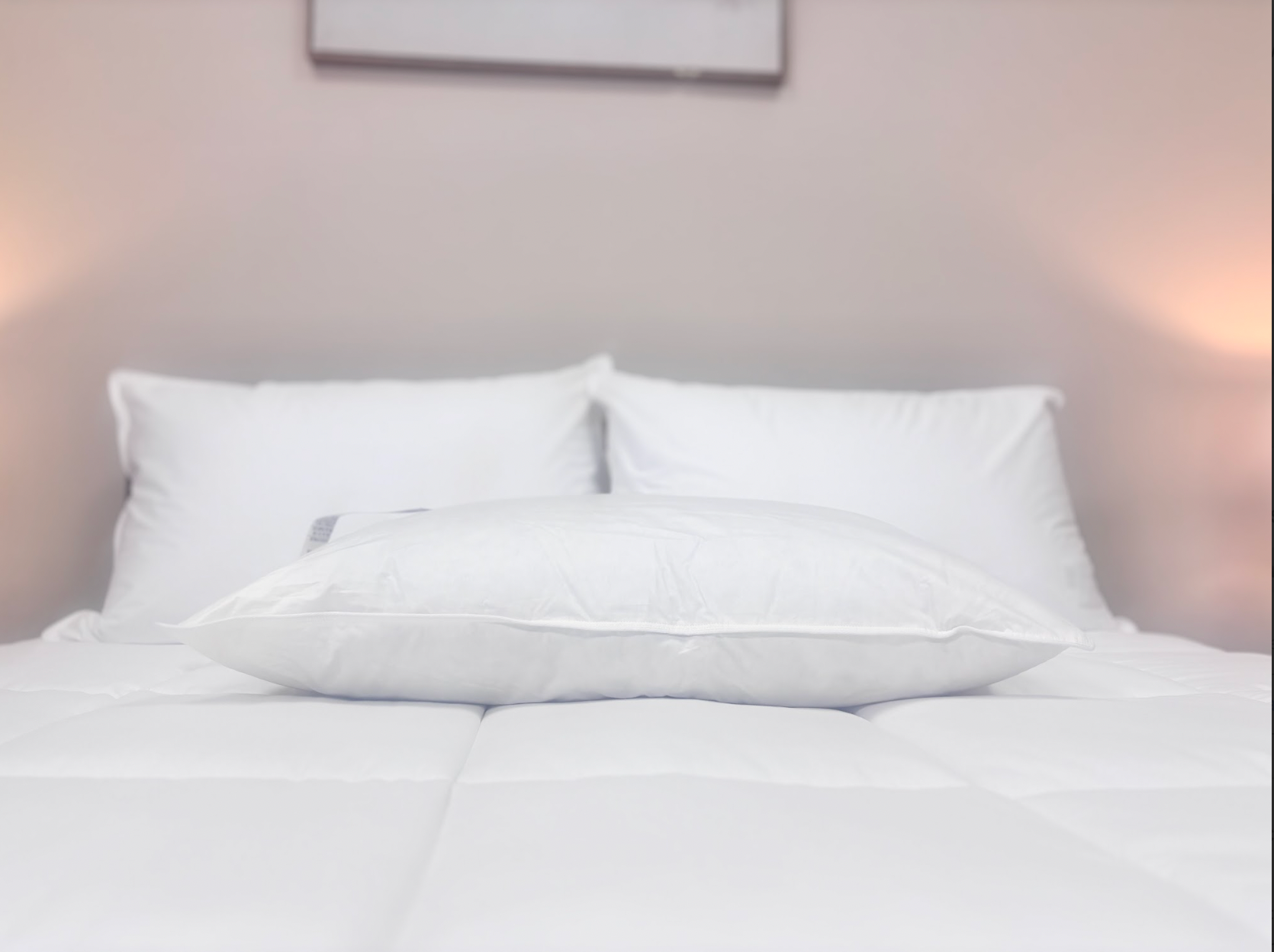 Premium Downlite Down Halo Pillow - Ultra Soft Hypoallergenic Luxury Bed Pillow for Side, Back & Stomach Sleepers - Perfect for Home, Hotel & Travel Use