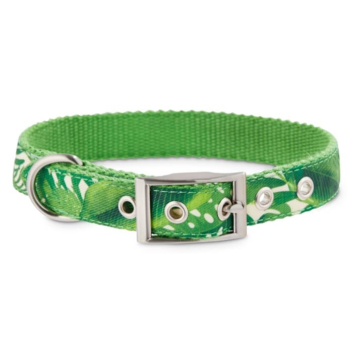 Palm Springs Dog Collar for Small Dogs - Stylish & Comfortable Pet Collar with Adjustable Buckle - Perfect for Daily Walks, Training & Outdoor Adventures