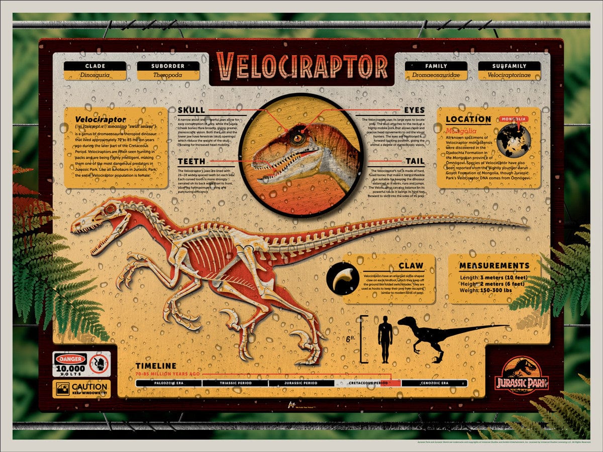 Jurassic Park (DKNG) - Official Licensed Dinosaur Toys & Collectibles for Kids & Adults - Perfect for Gifts, Birthday Parties & Movie Fans
