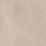 Buckskin