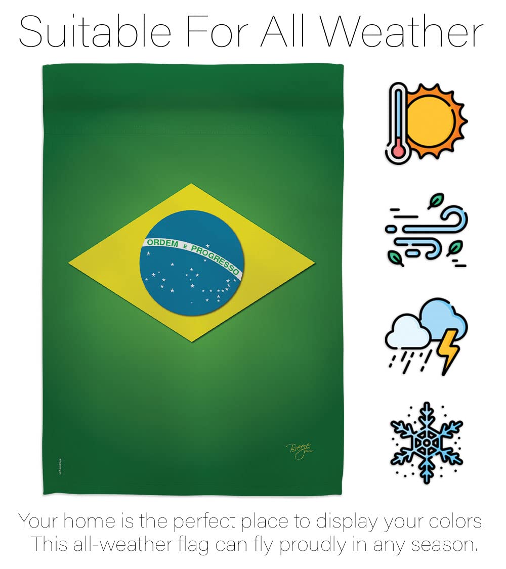 Brazil National Flag Set 28