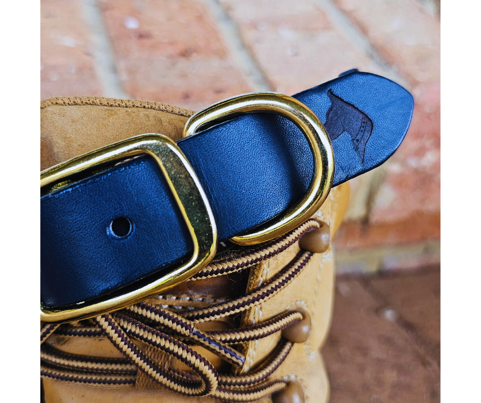 Premium Staffy Collar - Durable & Adjustable Dog Collar for Staffordshire Bull Terriers - Perfect for Walking, Training & Everyday Use