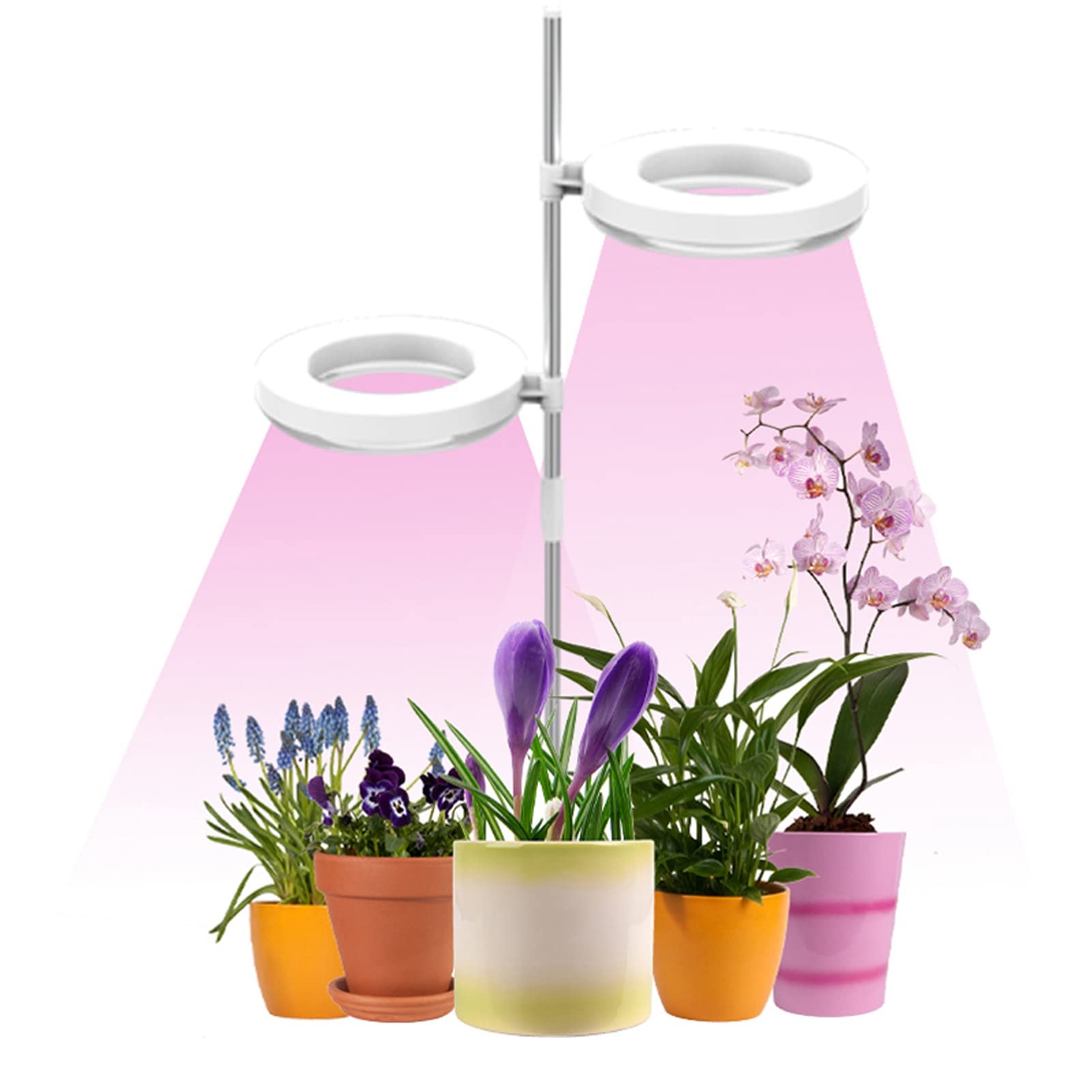 CHICIRIS Full Spectrum Adjustable Double Head LED Grow Light with Stand - Indoor Plant Light for Succulents, Herbs, Flowers | Perfect for Home Garden, Greenhouse & Hydroponics
