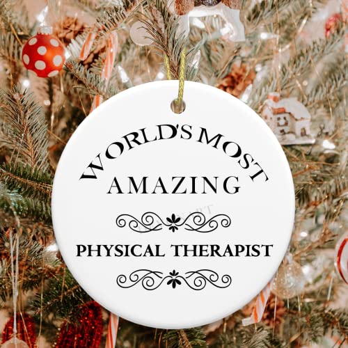 Physical Therapist