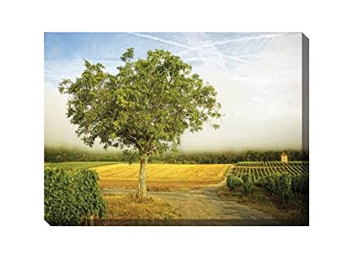 Vineyard Walk Outdoor Canvas Wall Art Decor - Green & Brown Landscape Painting 30x40 Inches - Perfect for Patio, Garden, and Farmhouse Decor