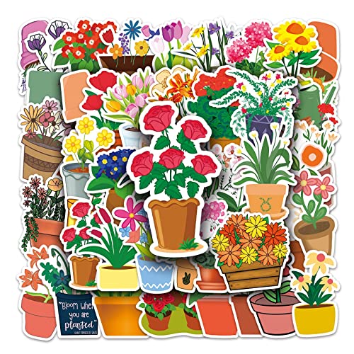 Potted Flower