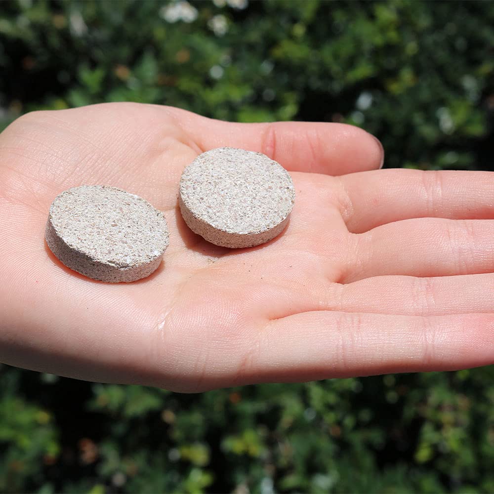 Organic Indoor Plant Food Tabs - Houseplant Fertilizer for Foliage & Edibles | 2-Pack Lasts 1 Year | Perfect for Pothos, Herbs & Vegetable Gardens | American Plant Exchange