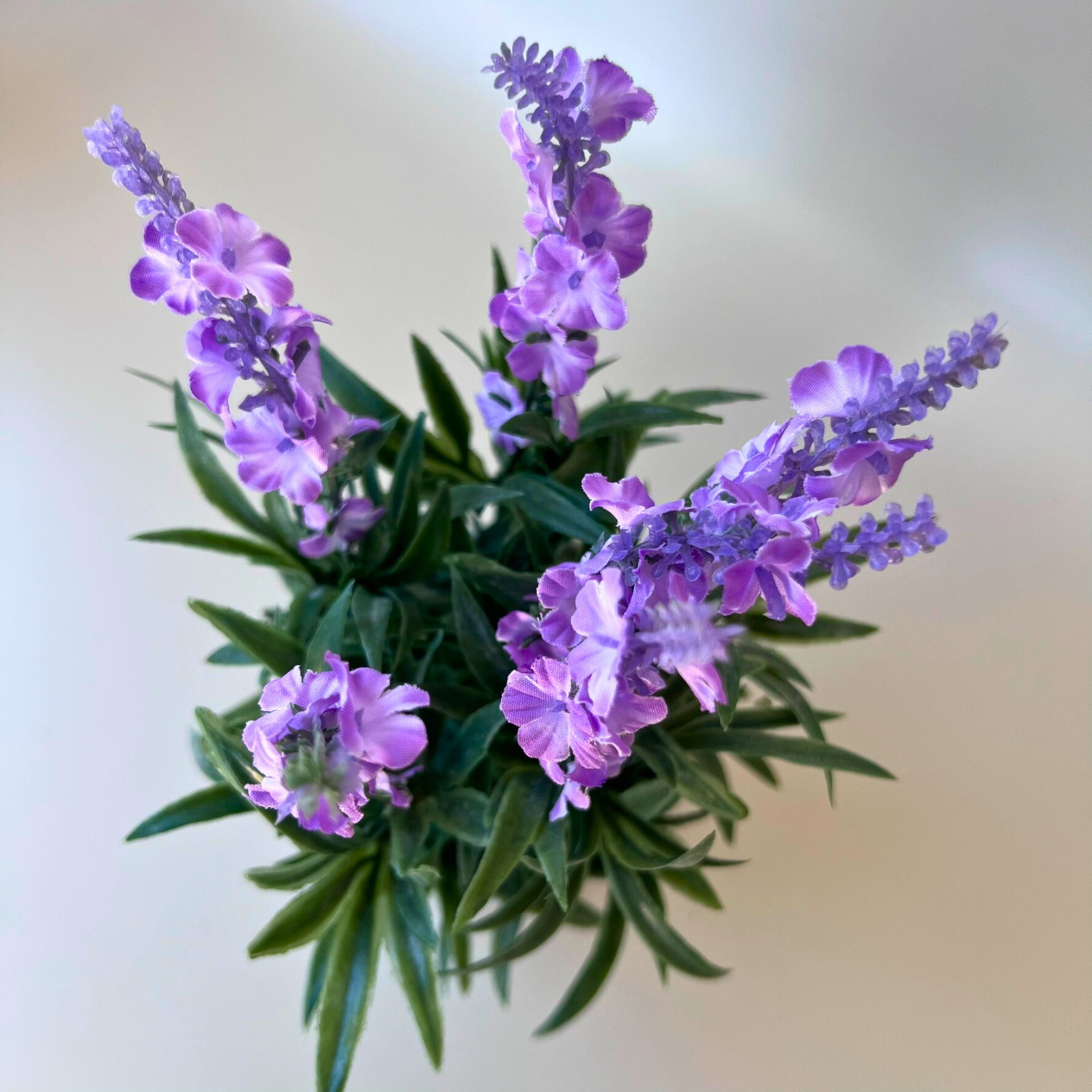 Realistic Artificial Lavender Plant in White Ceramic Pot - 25cm Tall Faux Purple Flowers for Home Decor, Office Desk, and Wedding Centerpieces
