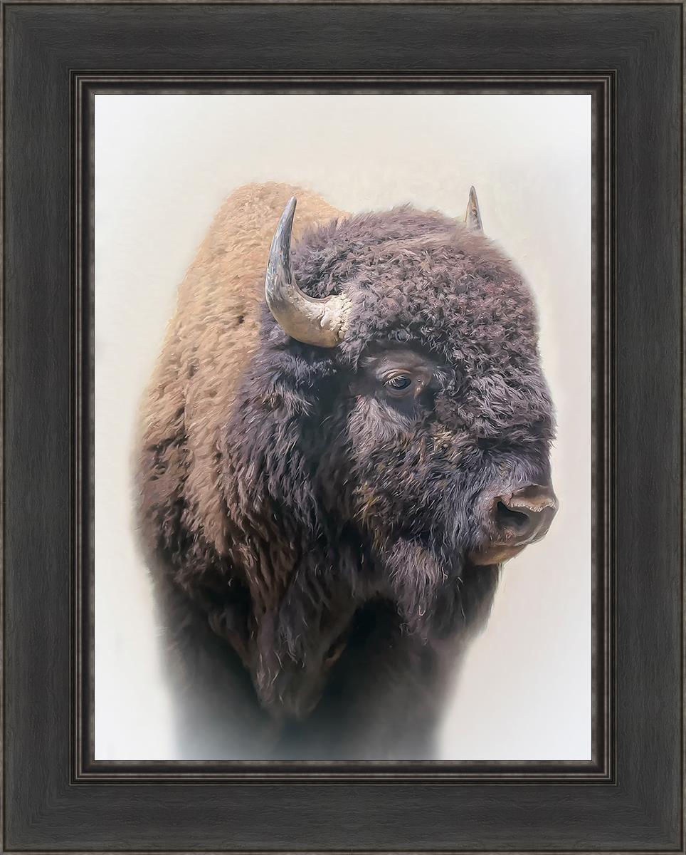 Bison By Matthew Grant | Premium Bison Meat & Jerky | High-Protein Snacks for Camping, Hiking & Outdoor Adventures