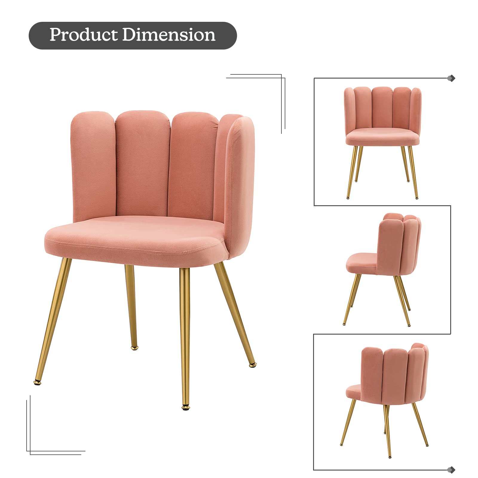 HULALA HOME Velvet Accent Chairs Set of 2 - Pink Upholstered Dining Chairs with Shell Back & Gold Metal Legs, Modern Vanity Chair for Makeup Room, Comfy Living Room Seating for Bedroom, Office, or Lounge