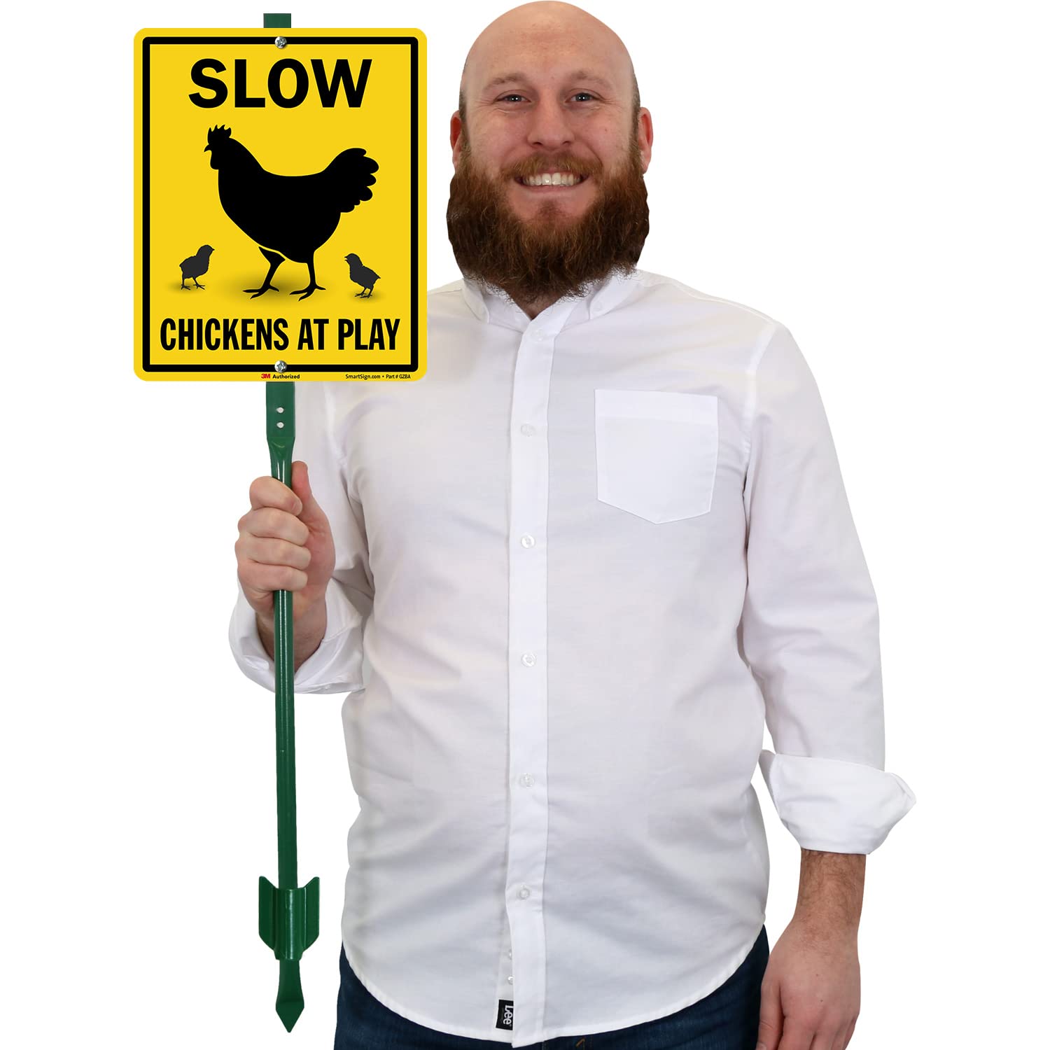 Slow - Chickens At Play