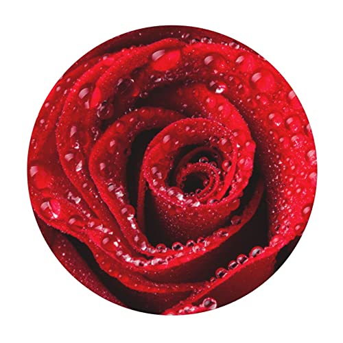 Beautiful Red Roses