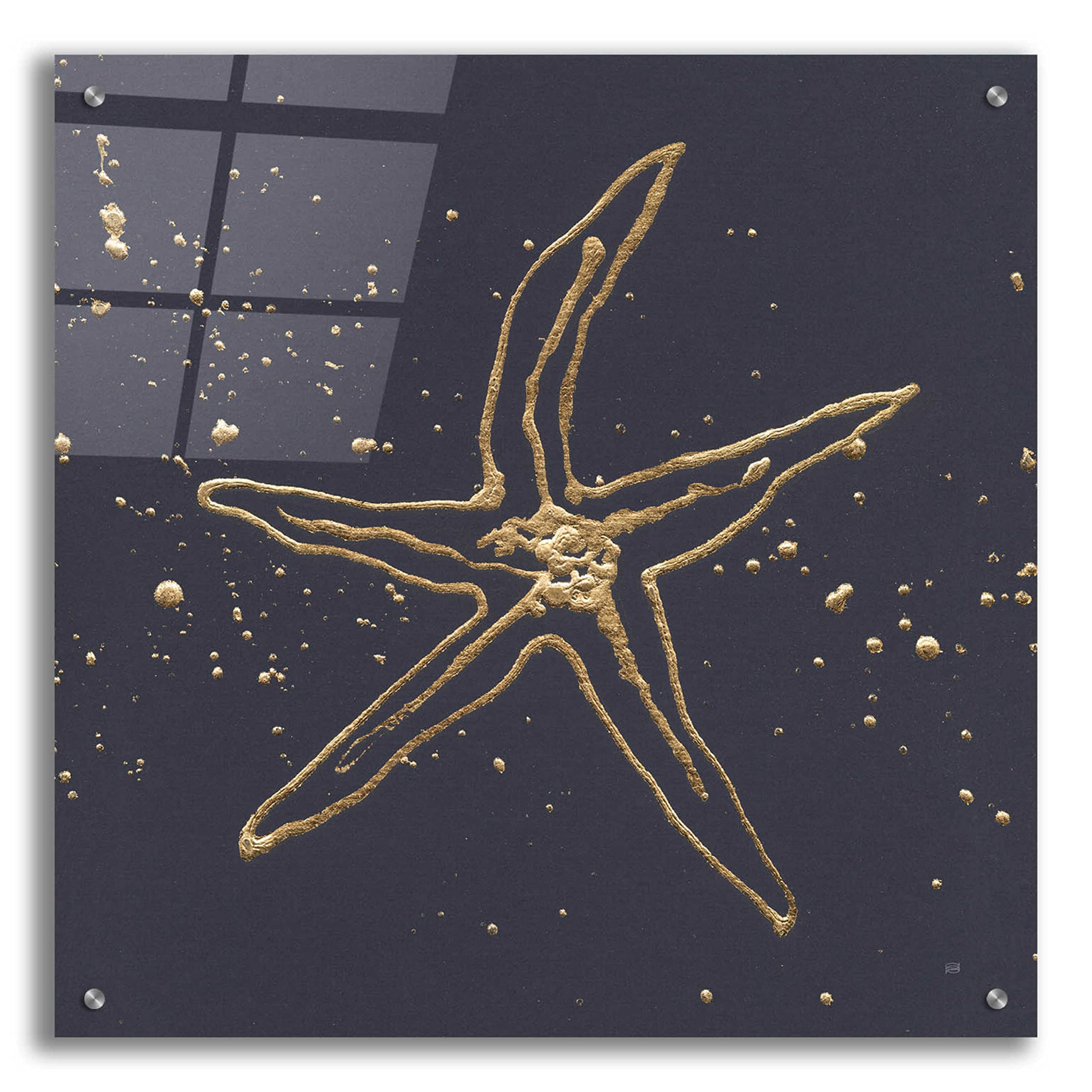 Gold Starfish II Acrylic Glass Wall Art by Chris Paschke - 24x24 Inch Modern Ocean Decor for Living Room, Bedroom & Office