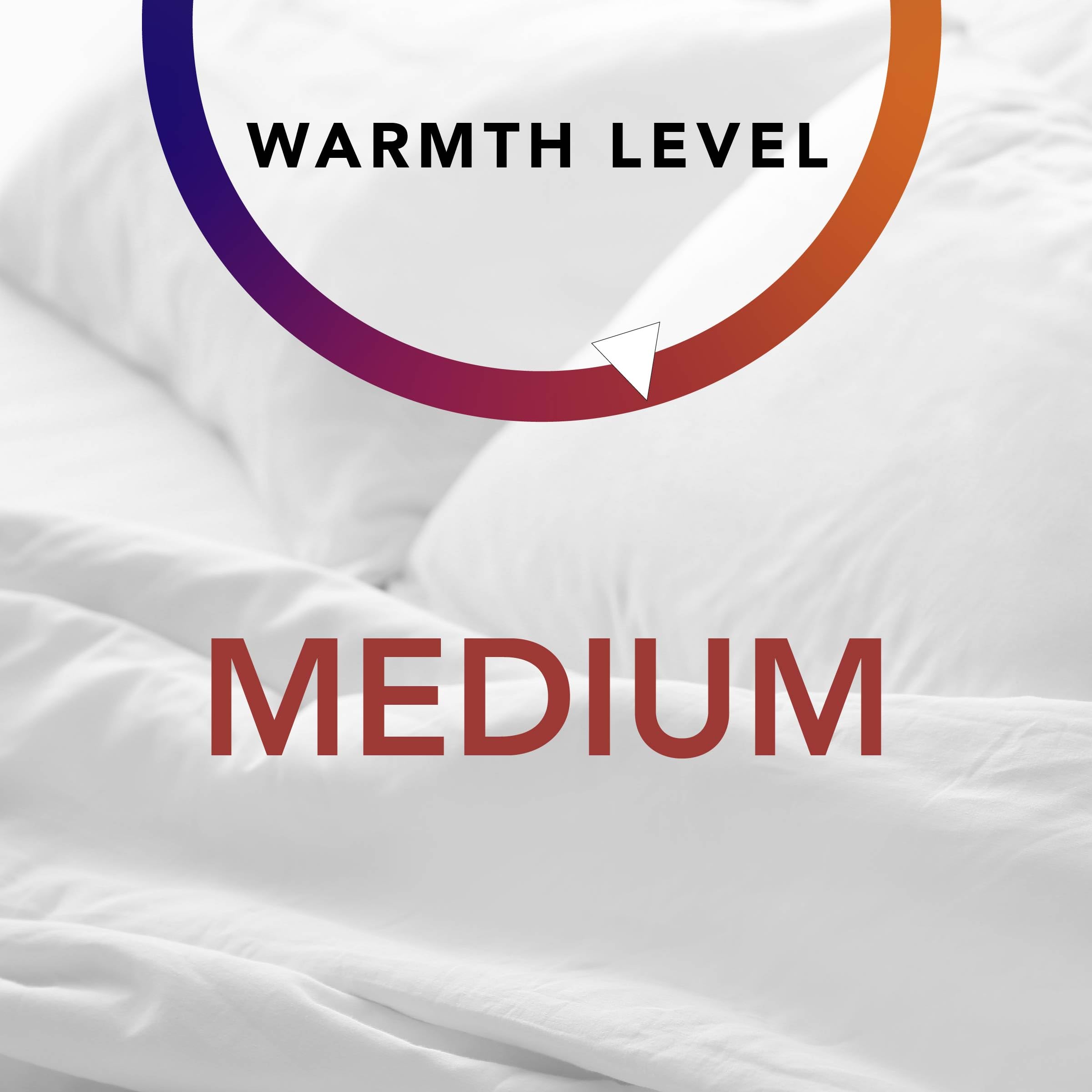 Serta Supersoft Cooling 5-Piece Reversible Comforter Set with Sheets & Pillowcases - All-Season Bedding for Twin/Twin XL - Silver Filigree Design | Perfect for Hot Sleepers & Cozy Bedroom Decor