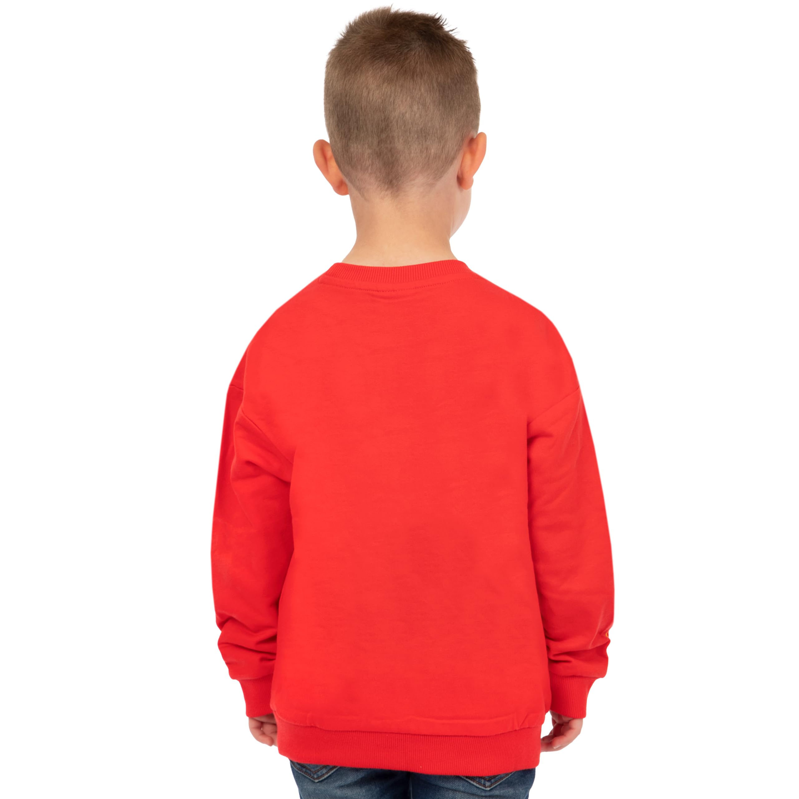 Disney Cars Lightning McQueen Boys' Sweater - Cute Cartoon Character Pullover for Kids (Sizes 2T-8) - Perfect for Birthday Gifts, Christmas & Daily Wear