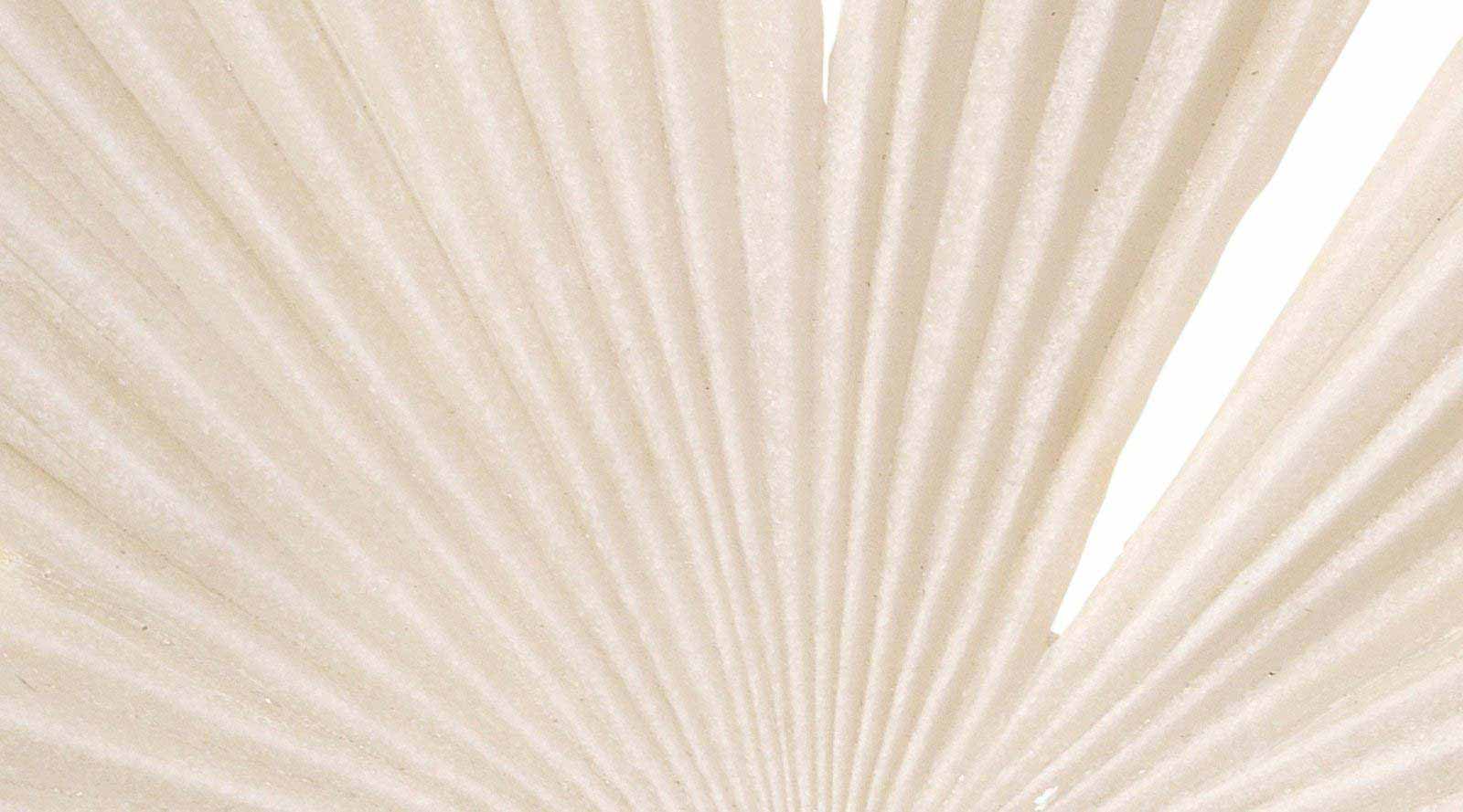 Tropical Island Leaf Wall Art - Medium Size Handmade Home Decor for Beach House, Living Room & Bedroom