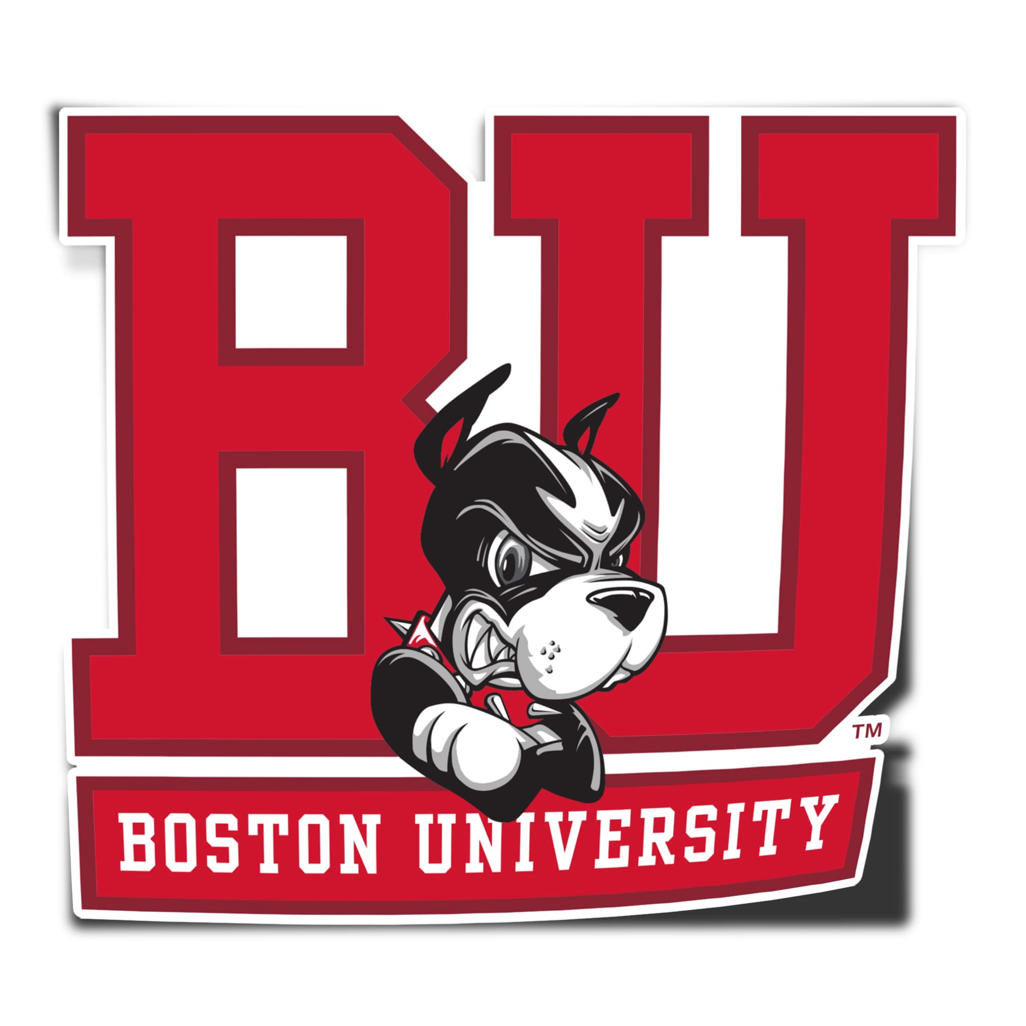 Boston University Terriers BU Desert Cactus Vinyl Decal Sticker - Waterproof Laptop, Water Bottle, Car, Scrapbook Decor - Perfect for College Students, Alumni & Fans (1-Pack)